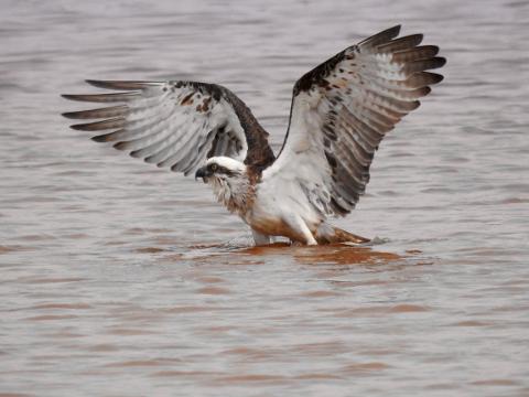 dff2c24169a84b05832e78ba0f8994e1DSCN8737