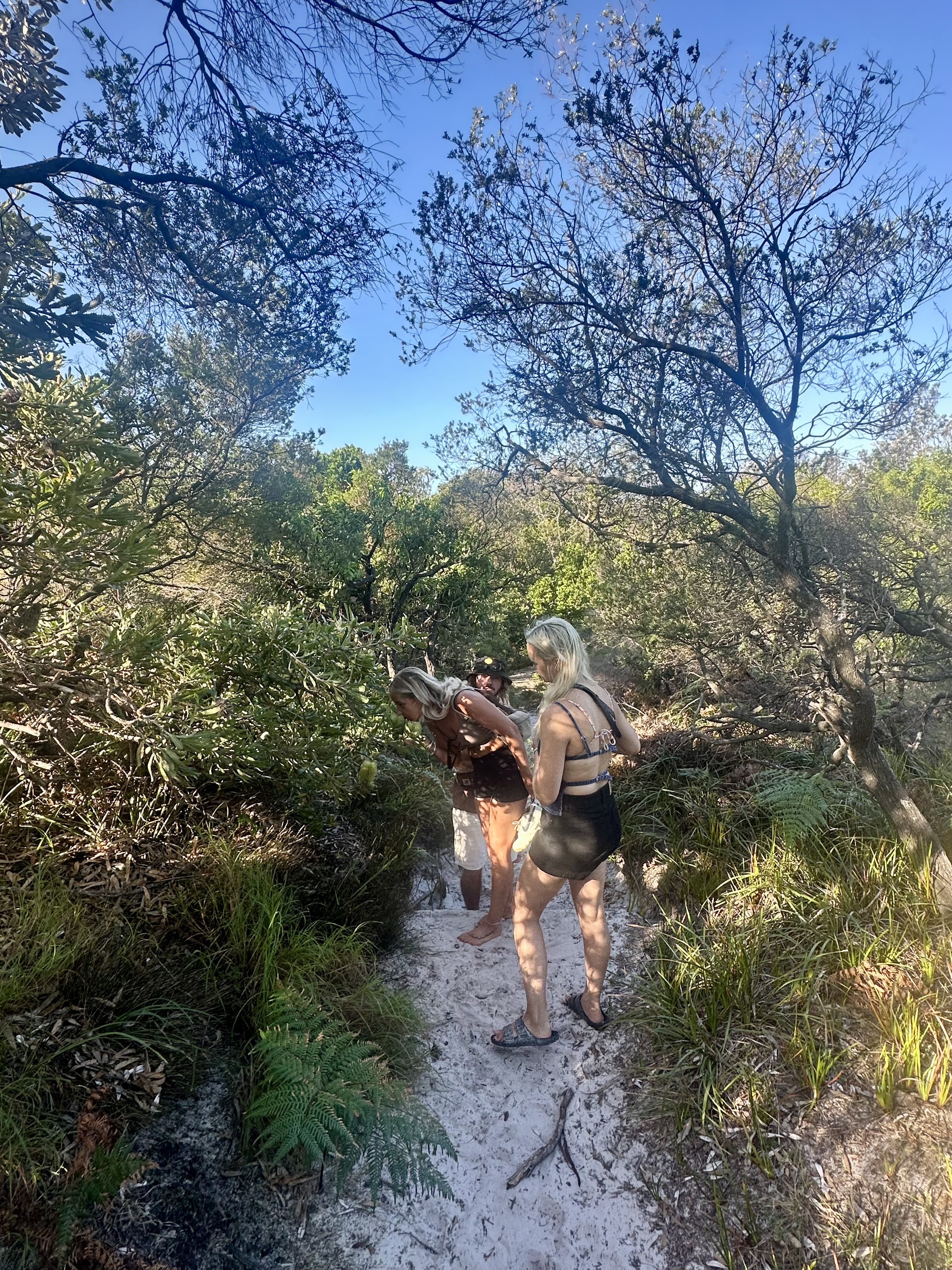 PRIVATE CUSTOM  GUIDED ECO-TOUR