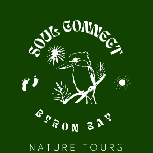 Broken Head Nature Tour