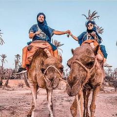 Camel Ride Marrakech in the Palm Groves
