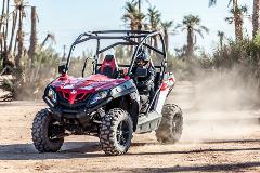 Buggy Tour in the Palmgroves of Marrakech