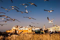 Private Essaouira Day Trip from Marrakech