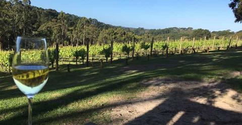 Swan Valley Wine & Gourmet Trail – 4 Hour Private Tour