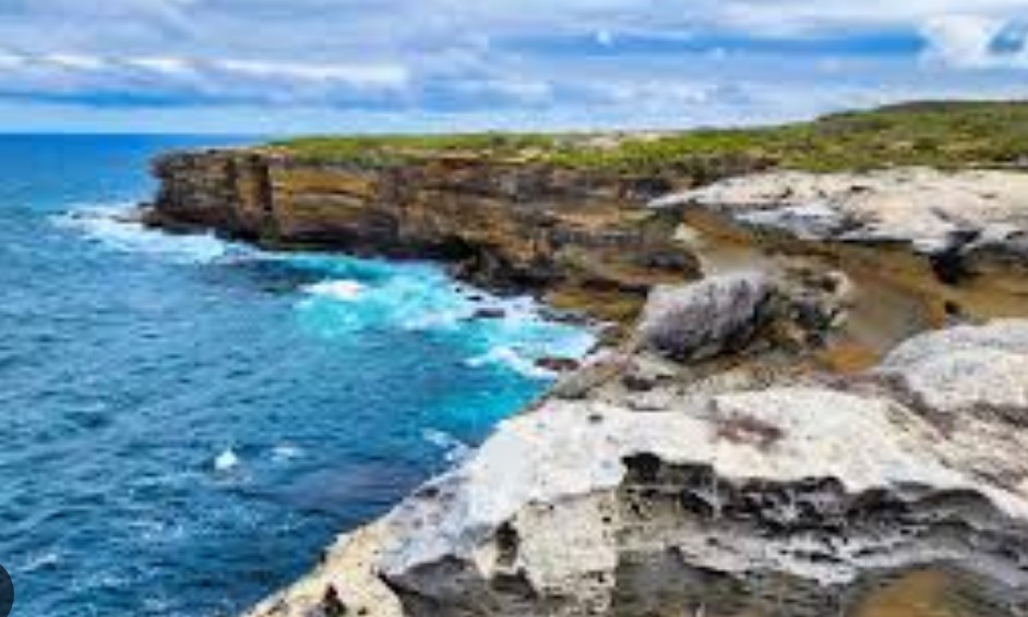 7 Wonders of Sydney  (CBD and South)