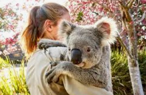 7 Wonders of Sydney  (CBD and South)