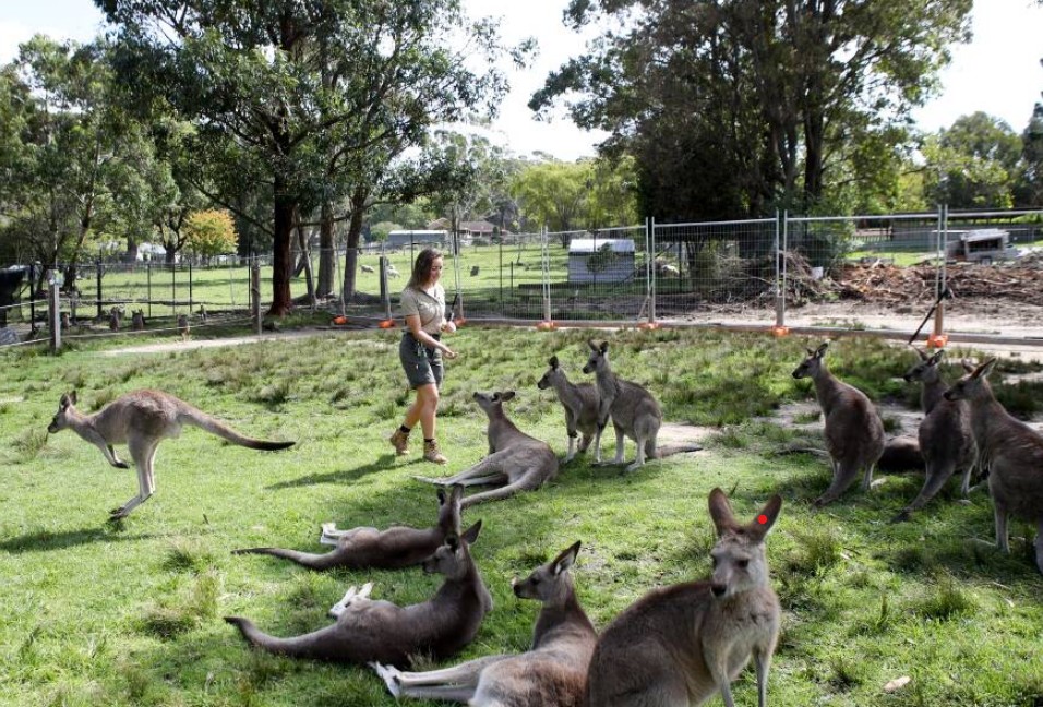 7 Wonders of Sydney  (CBD and South)