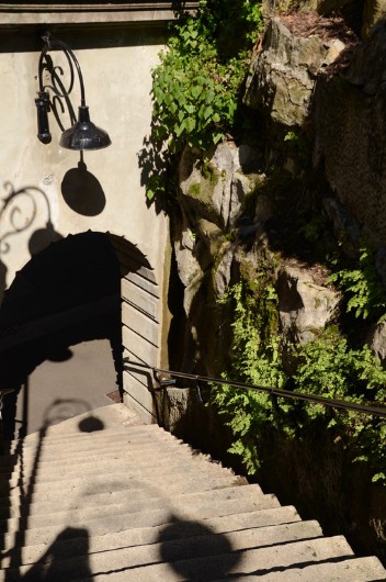 7 Wonders of Sydney  (CBD and East)