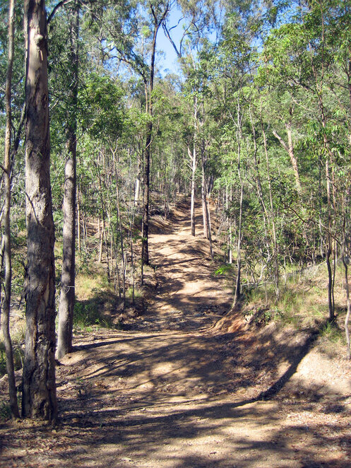 Gold Coast Off-Road Segway Adventure - 9:00AM