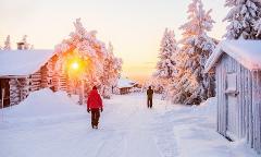 Rovaniemi - Levi Snowshoeing Transfer Experience