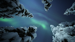 Adults Only Aurora Hunt with Snowshoeing in the wilderness 
