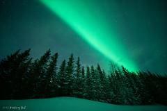 Private Aurora Hunt in the Finnish wilderness - group up to 8