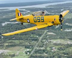 The Harvard - Adventure Flight