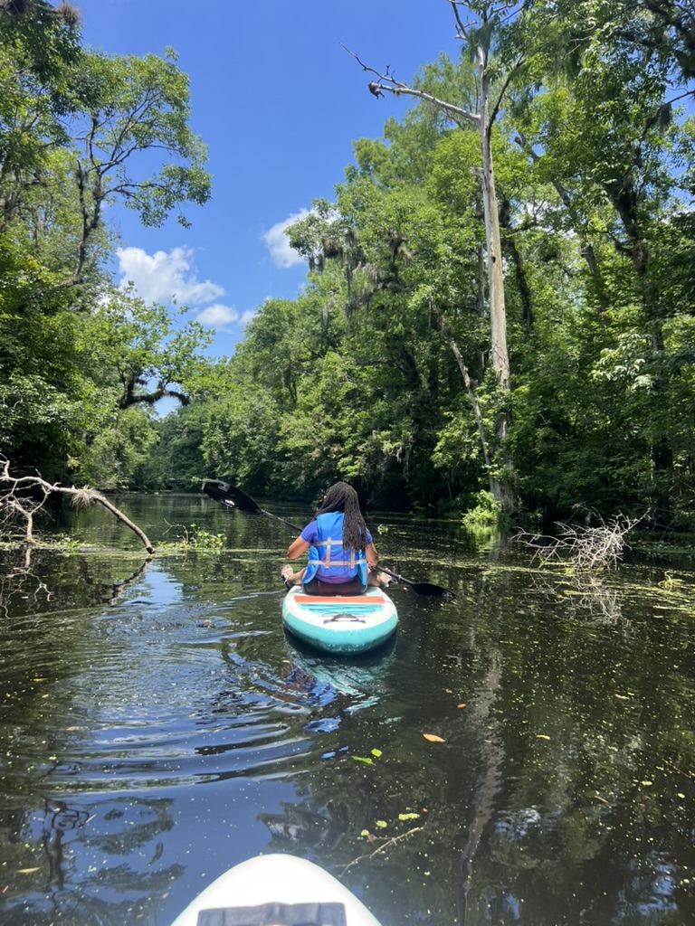 Paddleboard Rental