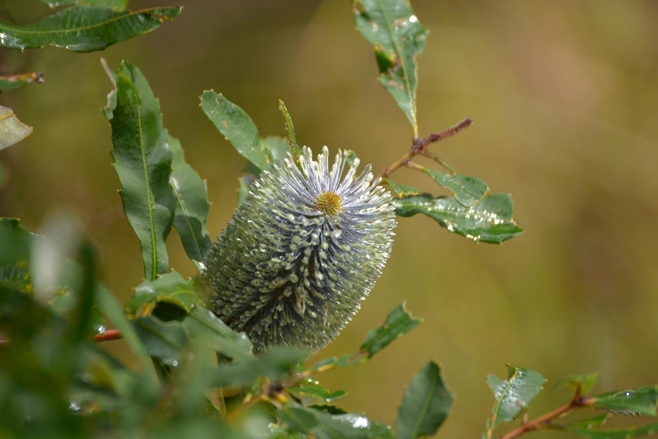Brisbane Private Photography Lesson - 2 Hours