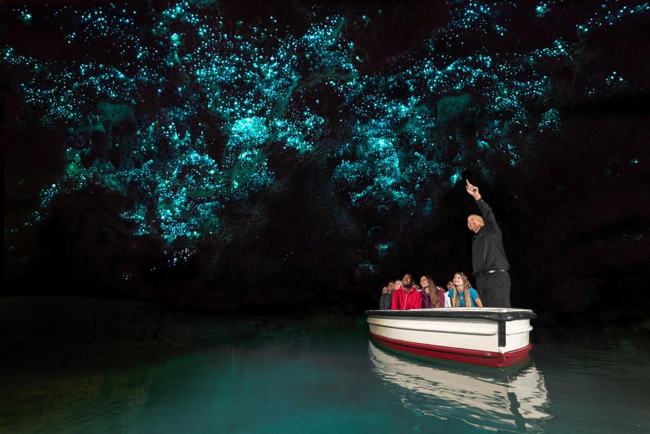 North Island Escape
