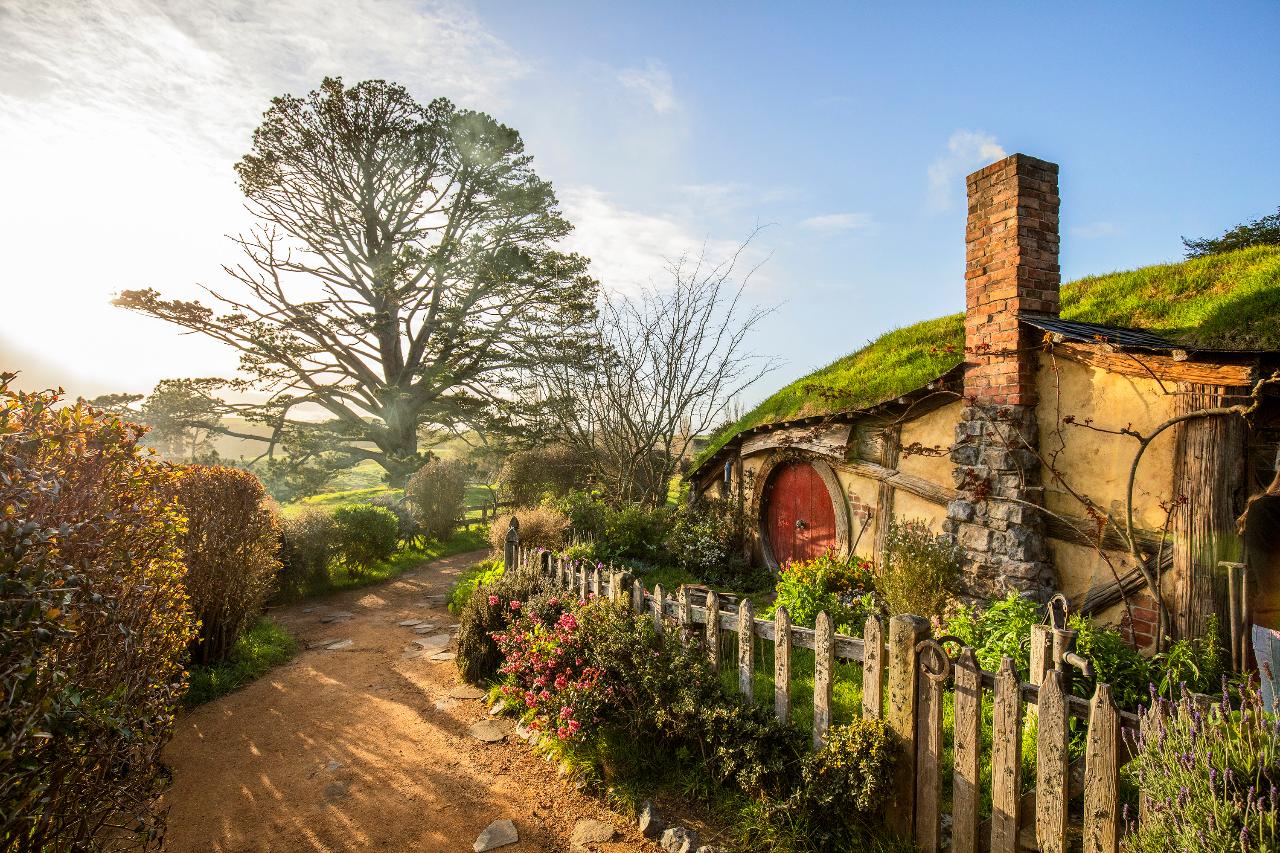 New Zealand Highlights