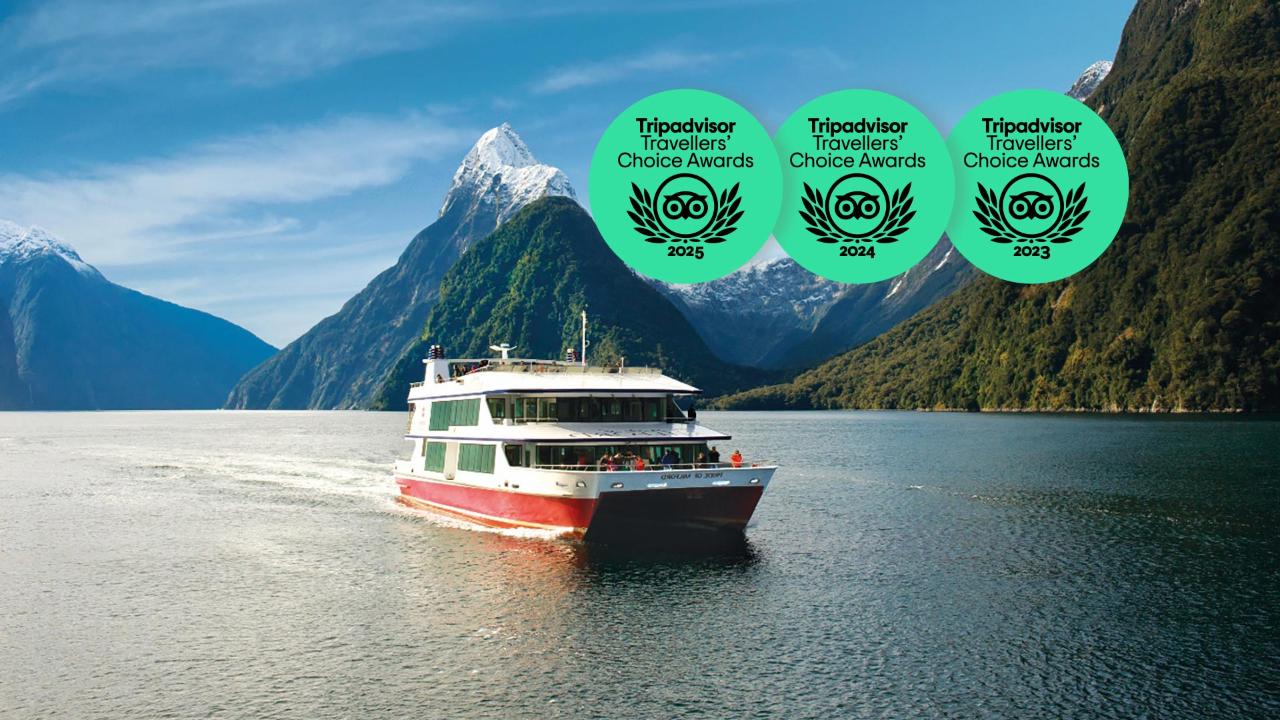 Milford Sound Tour: Coach & Cruise incl. Picnic lunch