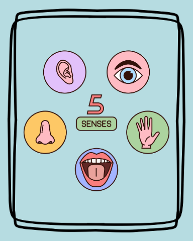 Science Blast: Senses exploration