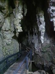 Kawiti Glowworm Cave tour 