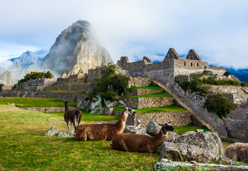 South America & Machu Picchu