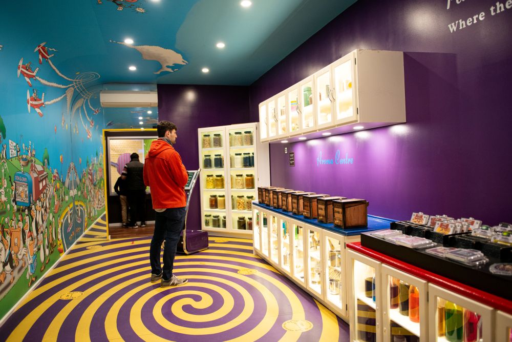 Depart Melbourne: Phillip Island Hop on Hop off and Penguins Day Tour