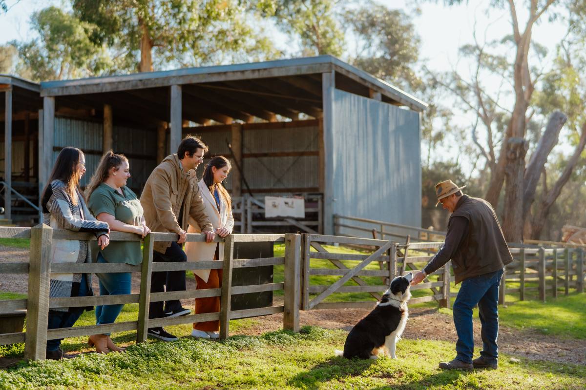 Island Explorer Hop-on, Hop-off Bus