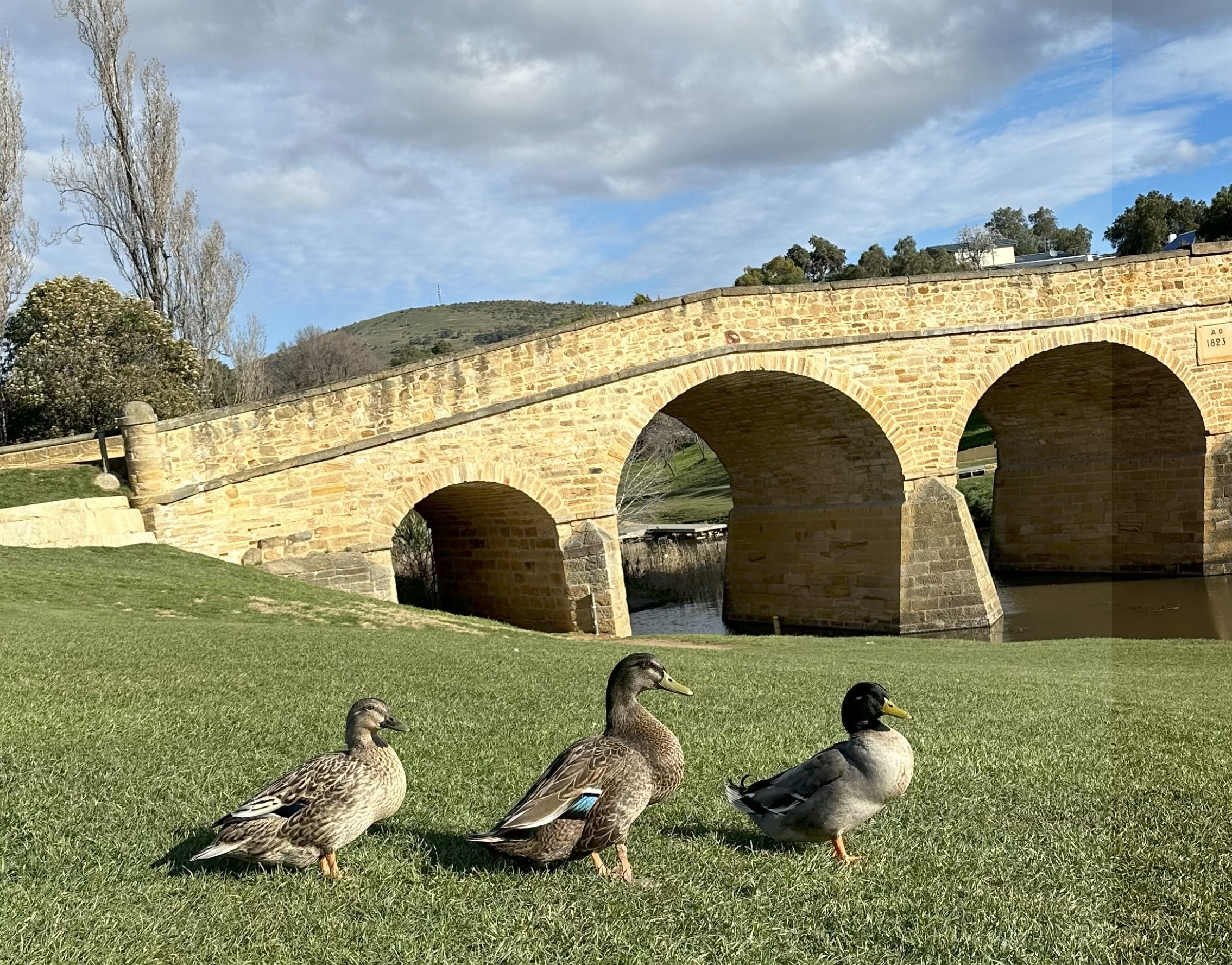 Cruise Passengers - Private Winery Tour