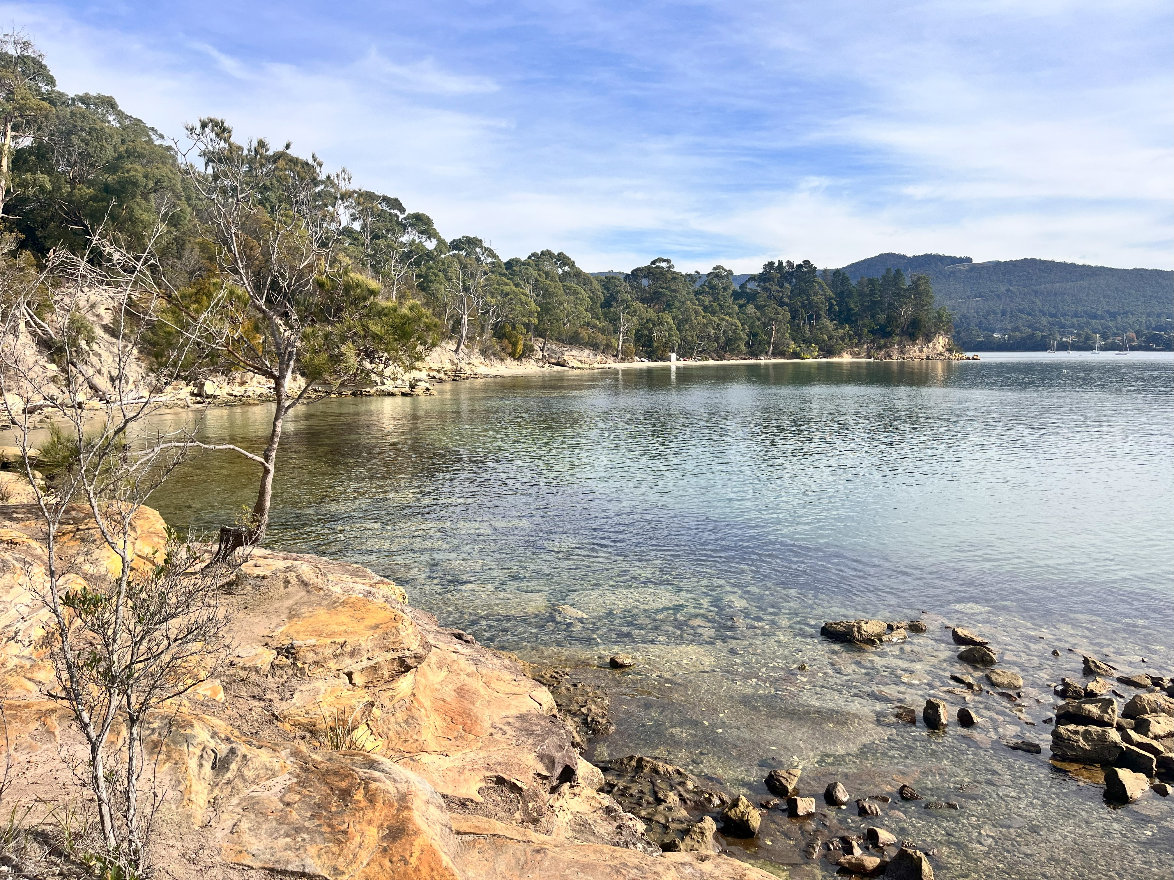 Sip Happens! Down South - Private Wine Tour