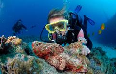 PADI Underwater Naturalist Specialty