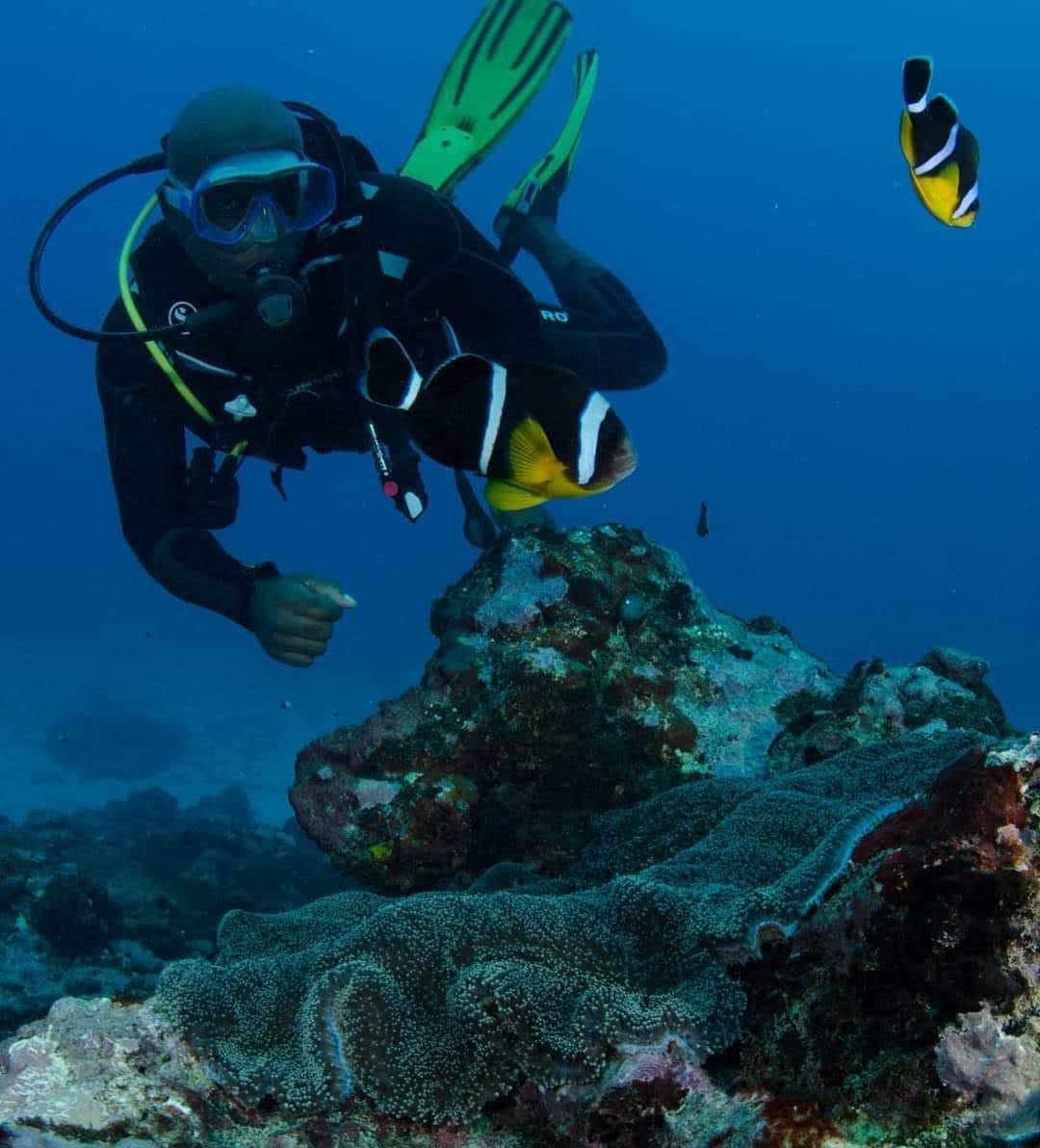 Spécialité PADI Navigation Sous-Marine (Underwater Navigator)