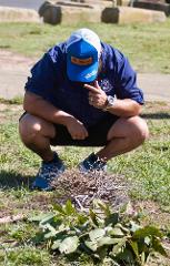 Northern Beaches - Salty Air & Aboriginal Bush Tucker Private Tour