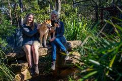  Luxury Nature Escape: Private Access to a Wildlife Sanctuary - Private Tour