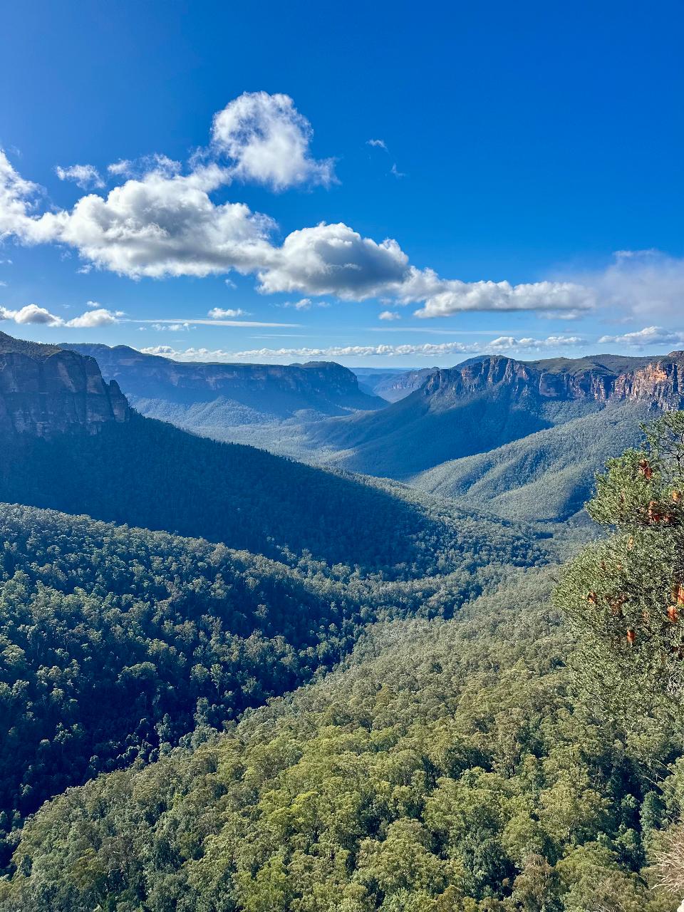 Wander & Wellness Series | Blue Mountains Edition 