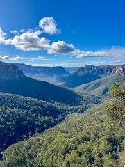 Wander & Wellness Series | Blue Mountains Edition 