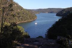 Sydney In Nature - Private Tour