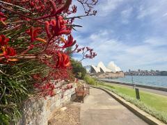 Half Day Sydney Highlights - Private Tour 