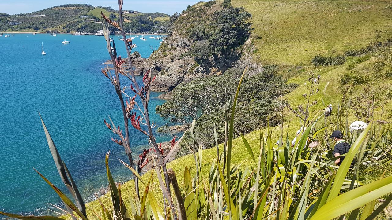 The 3 day 2 night Waiheke Walking Holiday