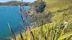 The 3 day 2 night Waiheke Walking Holiday