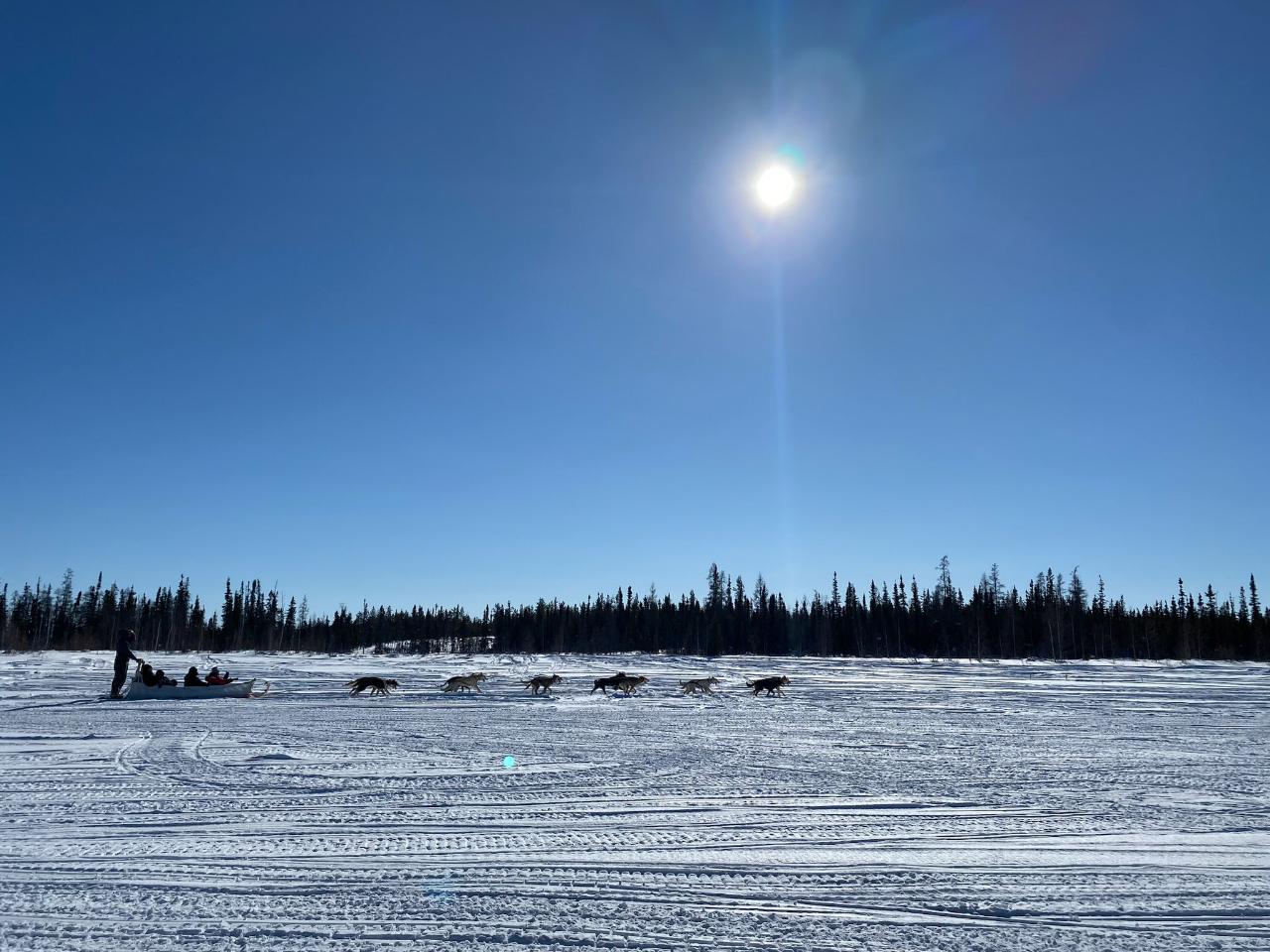 Traditional Dog Sledding Adventure – Yellowknife