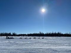 Traditional Dog Sledding Adventure – Yellowknife