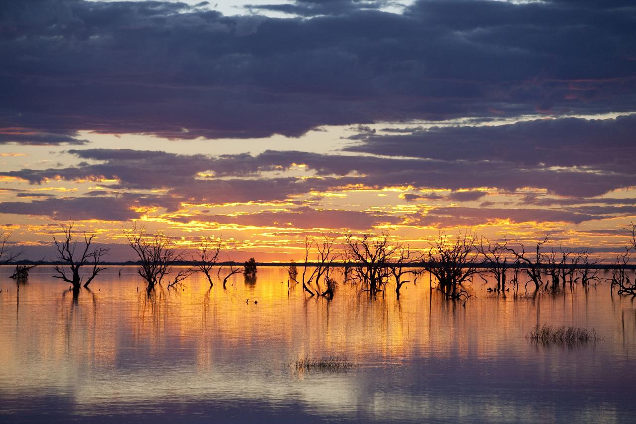 Menindee Lakes Scenic Tour 