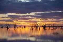 Menindee Lakes Scenic Tour 