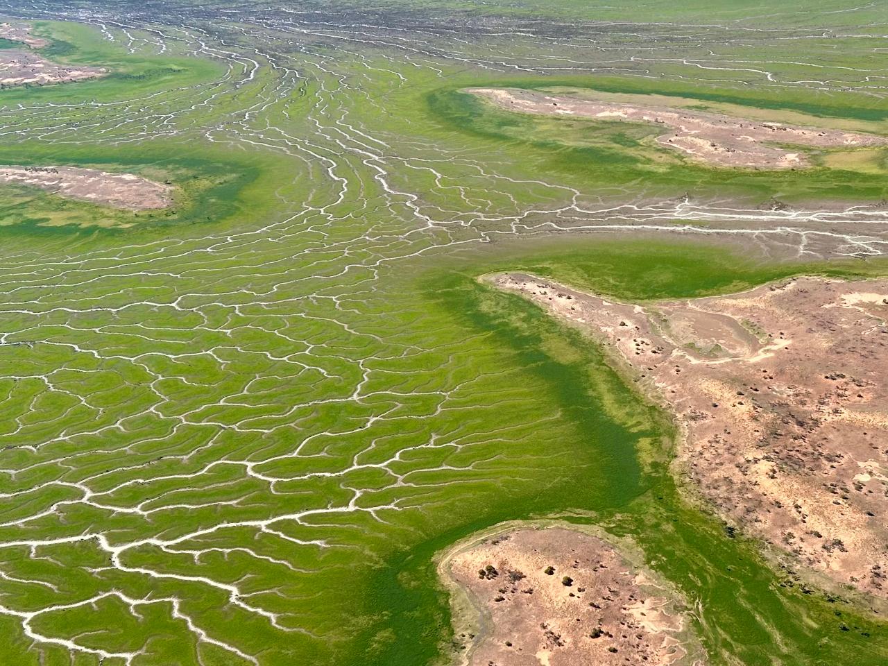 Channel Country and Lake Eyre Day Trip