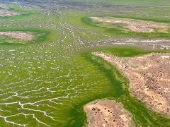 Channel Country and Lake Eyre Day Trip