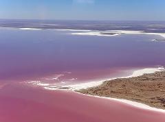 Lake Eyre and Flinders Ranges Day trip