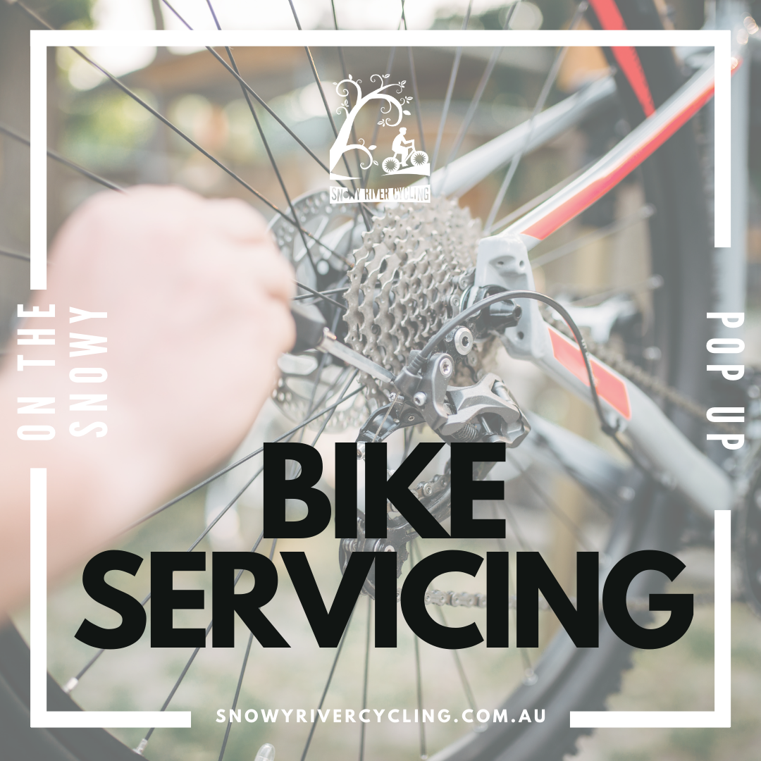 Bike Servicing - Marlo