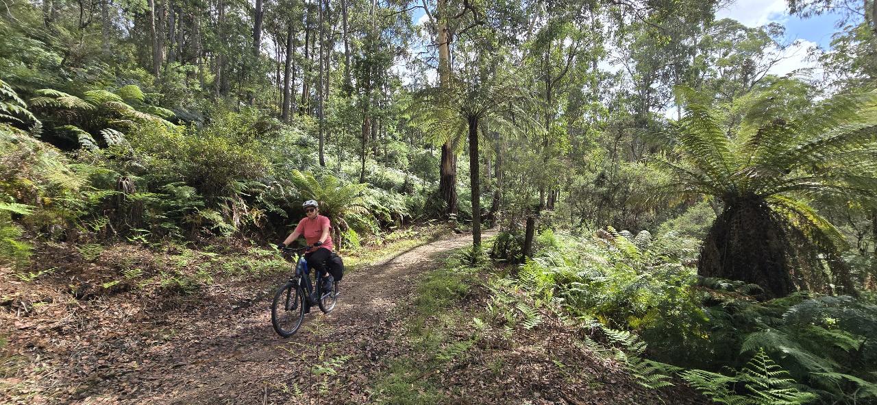 Ride, Relax, Discover Tour