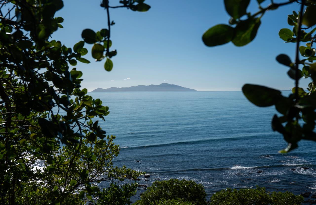 Self Guided Escarpment Track Hike, Kāpiti Coast with Transfers & Lunch
