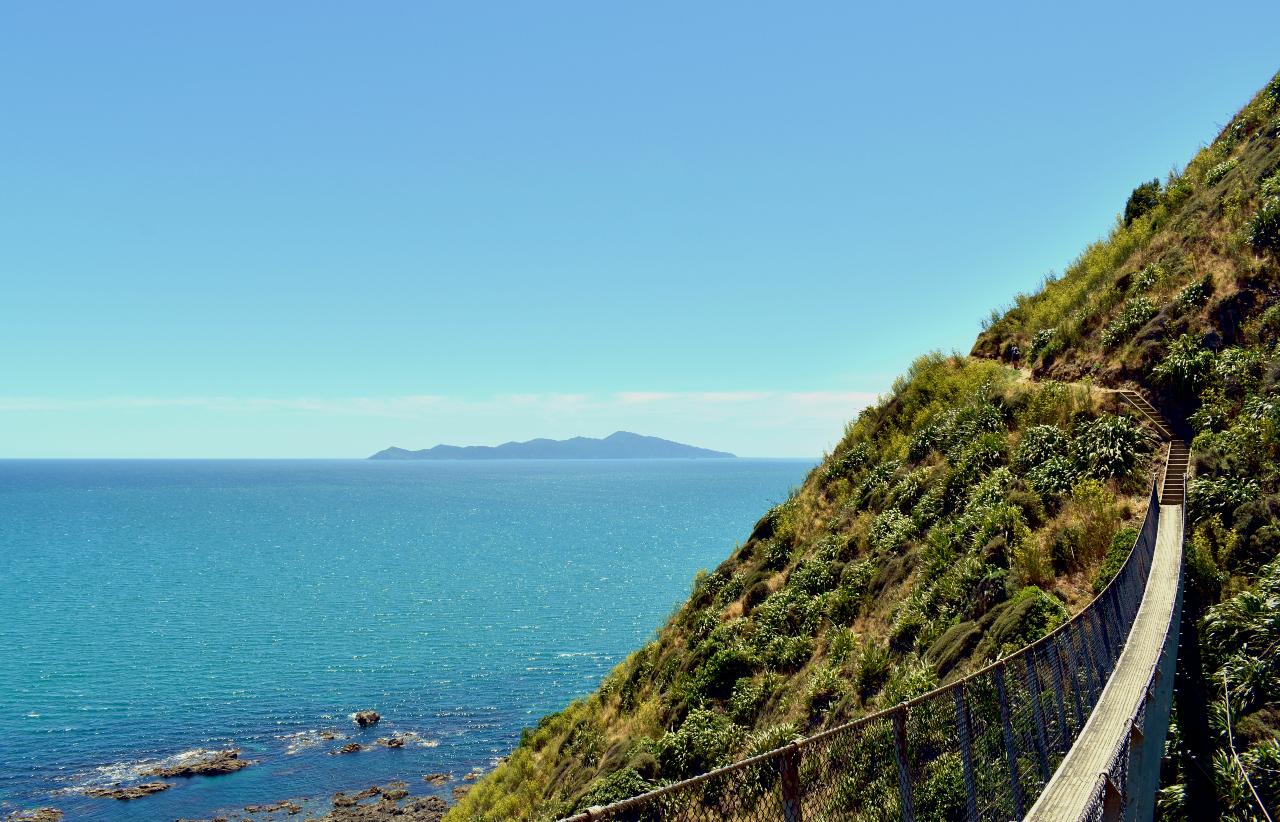 Discover Kāpiti Coast - Escarpment Track Guided Hike, Lunch + Transfers
