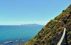Discover Kāpiti Coast - Escarpment Track Guided Hike, Lunch + Transfers
